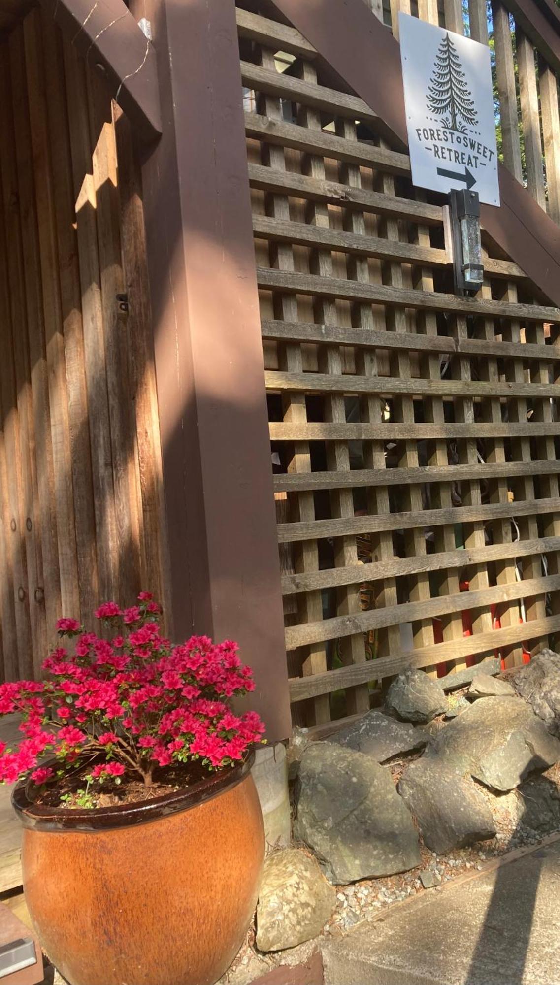 Forest Sweet Retreat Hot Tub & Wood Fired Sauna 우크루렛 외부 사진